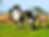2b45a1e0-2f3c-4db5-9df9-a9f64d9974bd.jpg.png