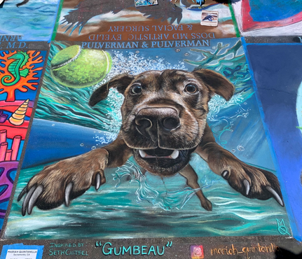 chalk drawing of a dog underwater