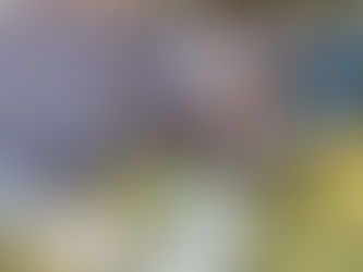 Mondial Escalade Aout 2020