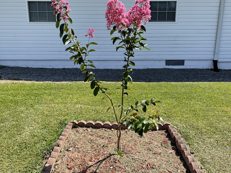 Honoring Our Lost Loved Ones