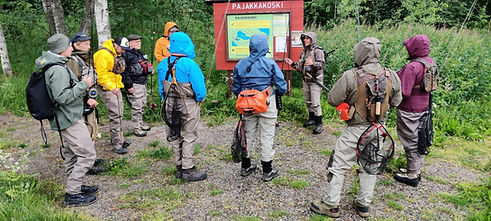 Perhokalastus Pajakkakoski