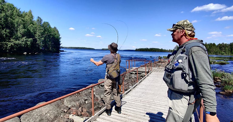 Lentuankoski perhokalastus