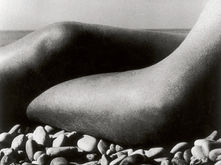 Focus sur l'individu