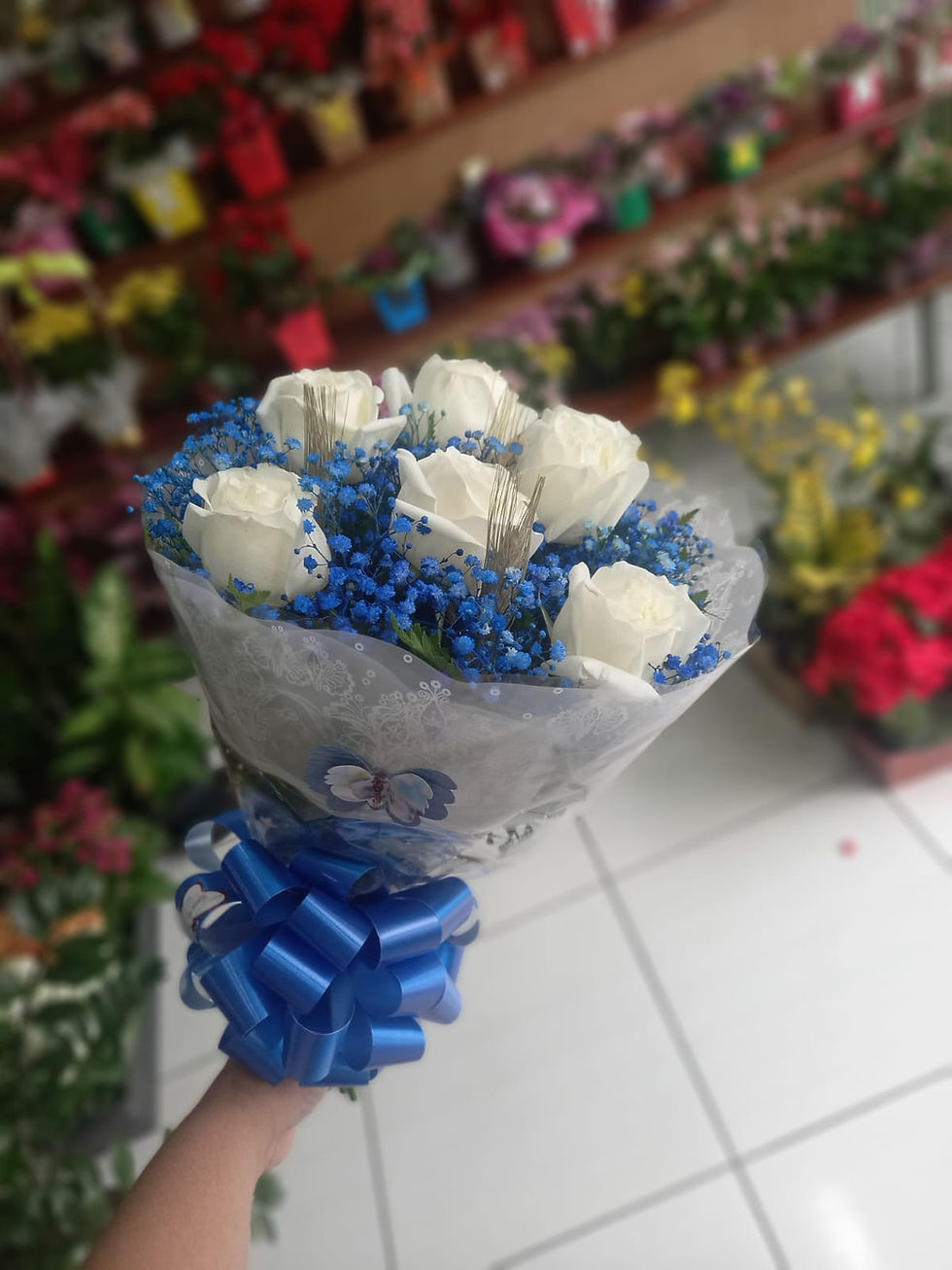 Miniatura: BUQUÊ COM 6 ROSAS BRANCAS COM GIPSO AZUL