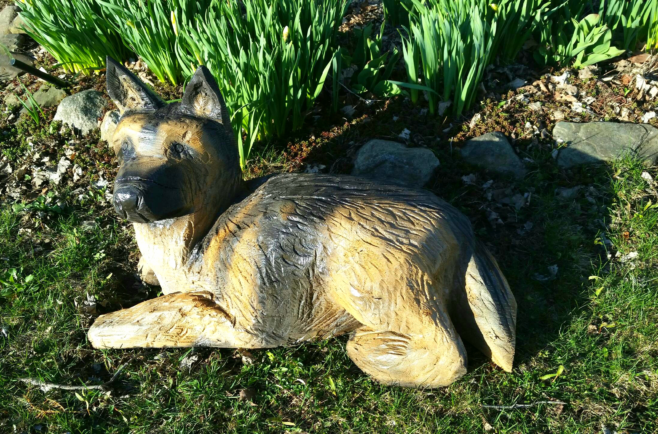 Custom Dog