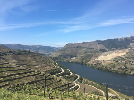 3 Things to Consider When Planning a Wine Trip