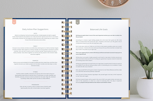 20 daily action plan project planner