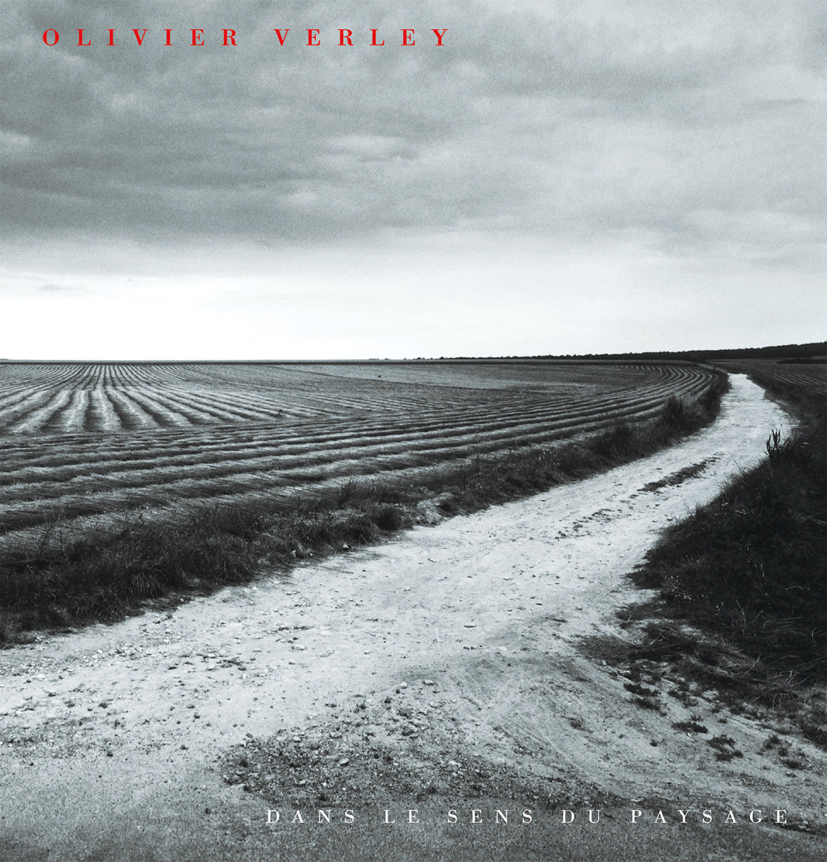 Olivier Verley. Dans le sens du paysage