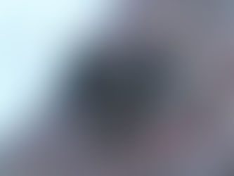 Chiots nés le 23/11/2025 Hubert du Domaine d'Emyty X Anbadore Oh Happy Day's prêts à partir le 20/01/26