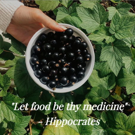 Nutritional Therapy: The Best Kept Secret to Better Health