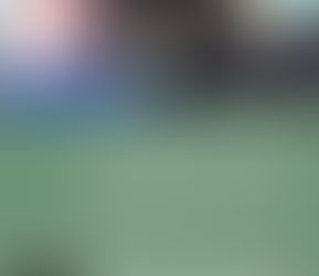 2025 Year End Impact Report