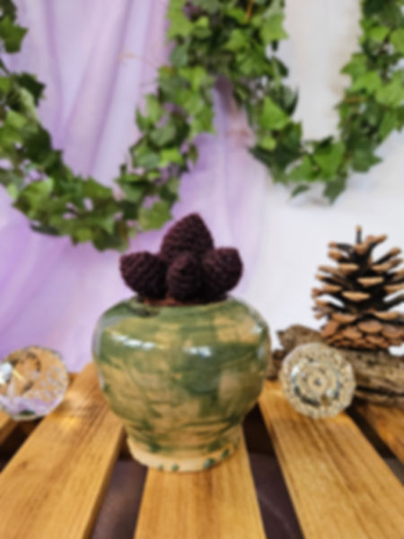 Purple succulent