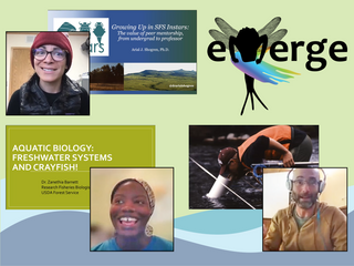 2021_Emerge_GuestSpeakers.png