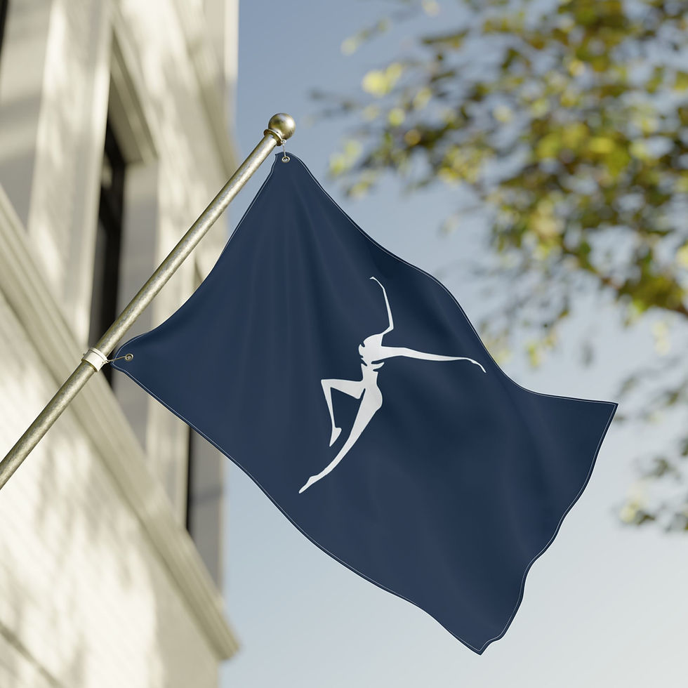 Thumbnail: DM Indoor/Outdoor Flag E