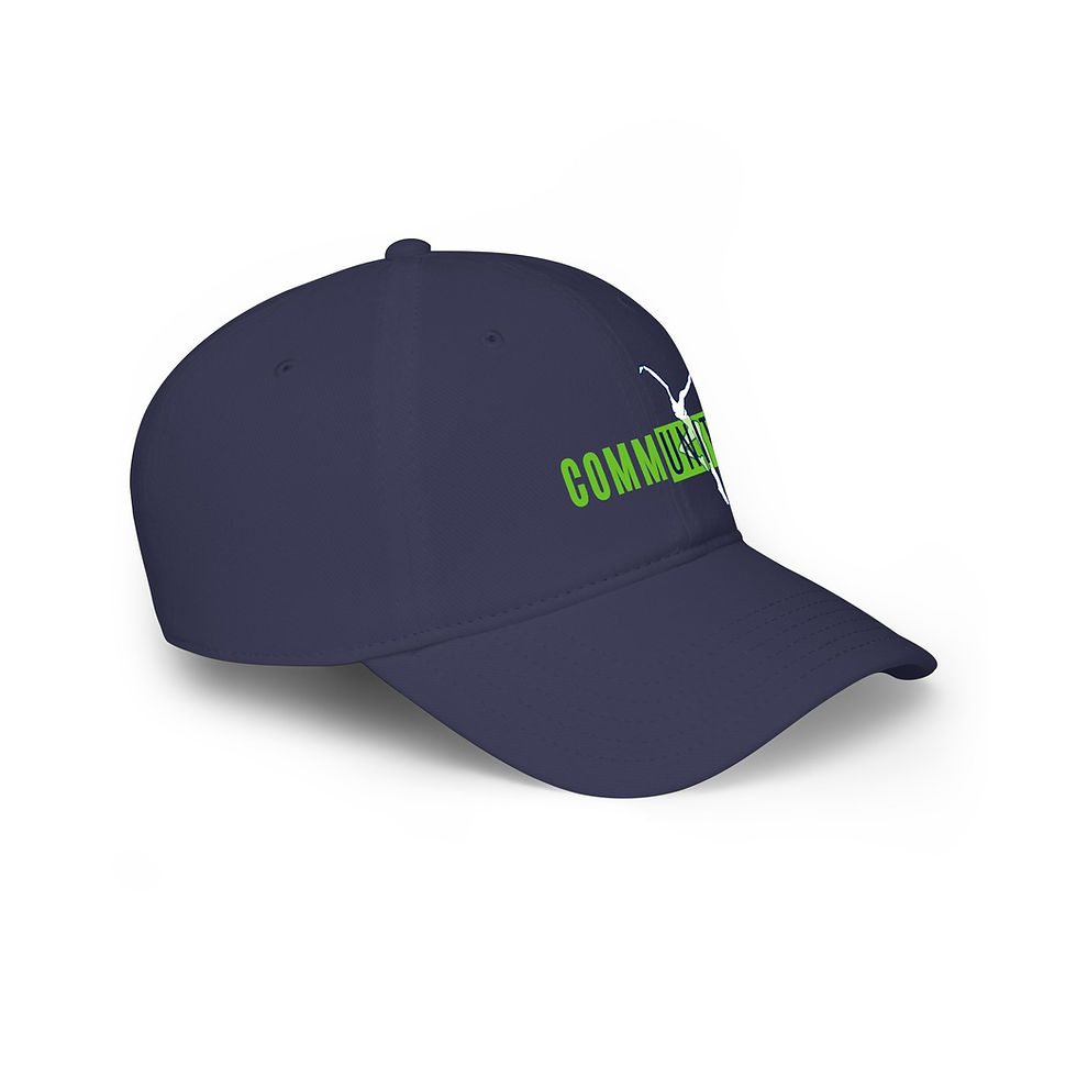 Thumbnail: DM Community Low Profile Hat