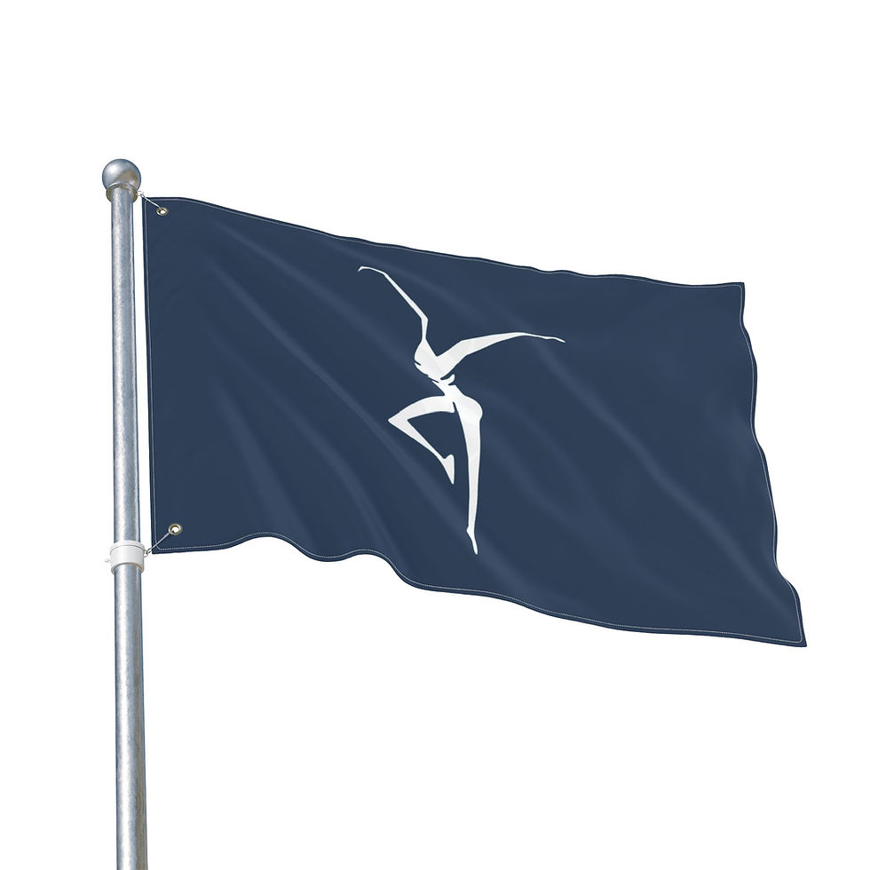 Thumbnail: DM Indoor/Outdoor Flag E