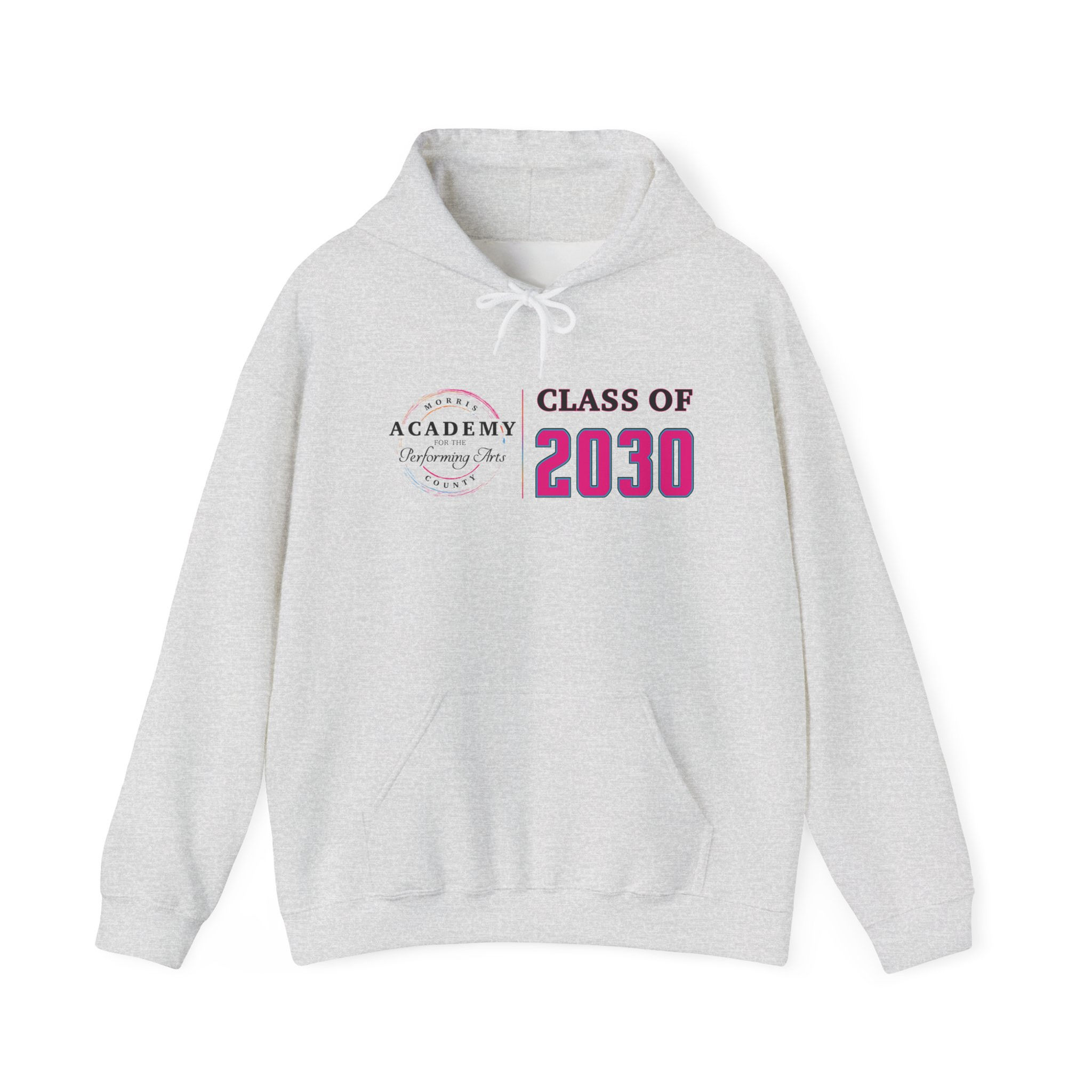 APA Class of 2030 Unisex Gildan Hoodie