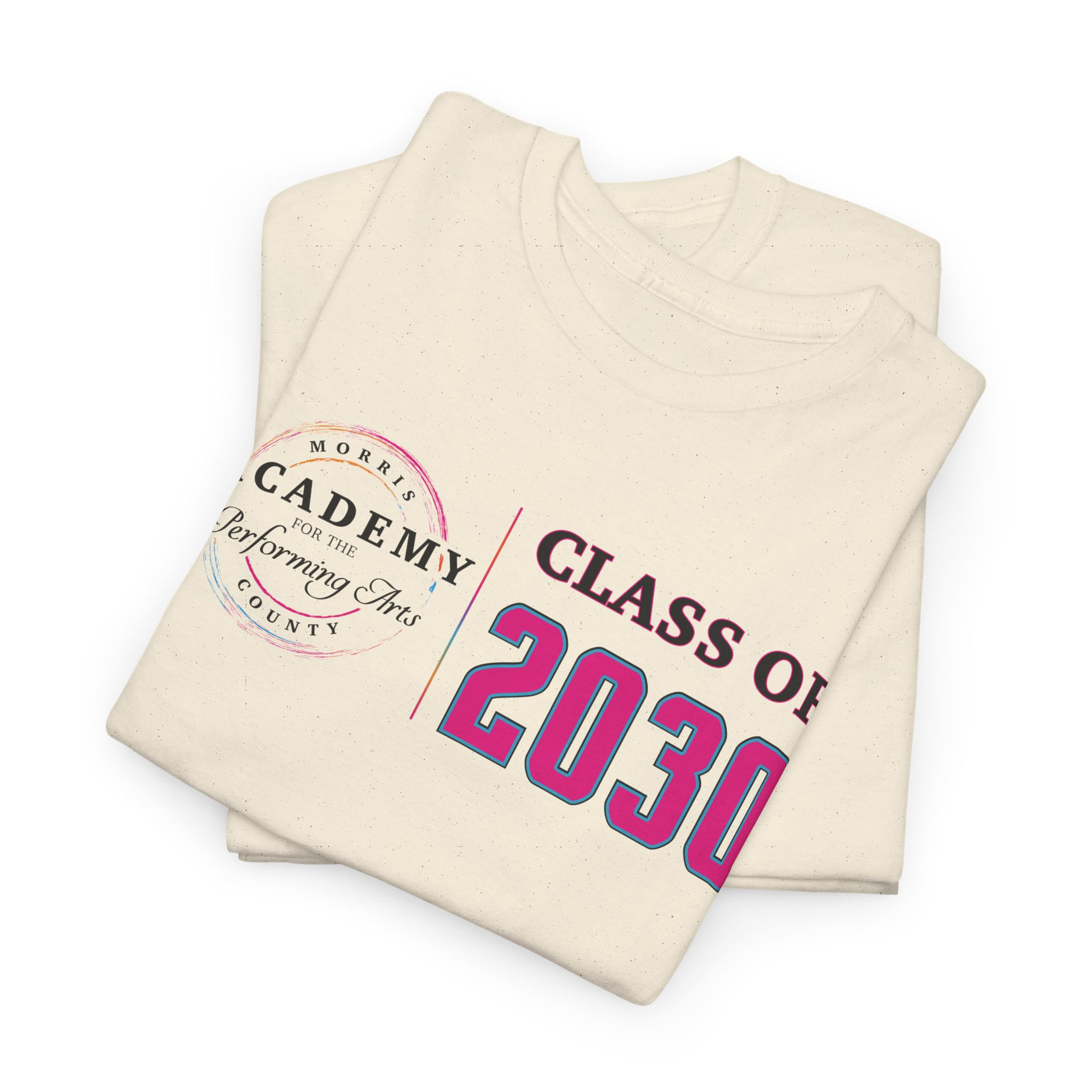 APA Class of 2030 Unisex Gildan T-Shirt
