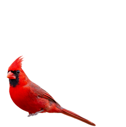 Untitled design (7)_edited_edited_edited