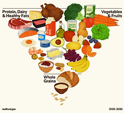 US Dietary Guidelines 2026