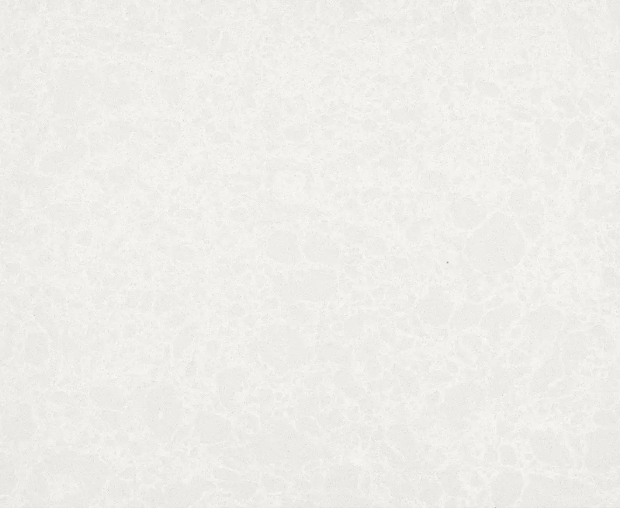 Newport Polished - Quartz