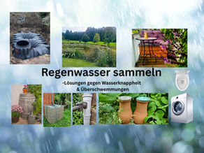 Regenwasser sammeln - nachhaltige Ideen für Garten und Zuhause
