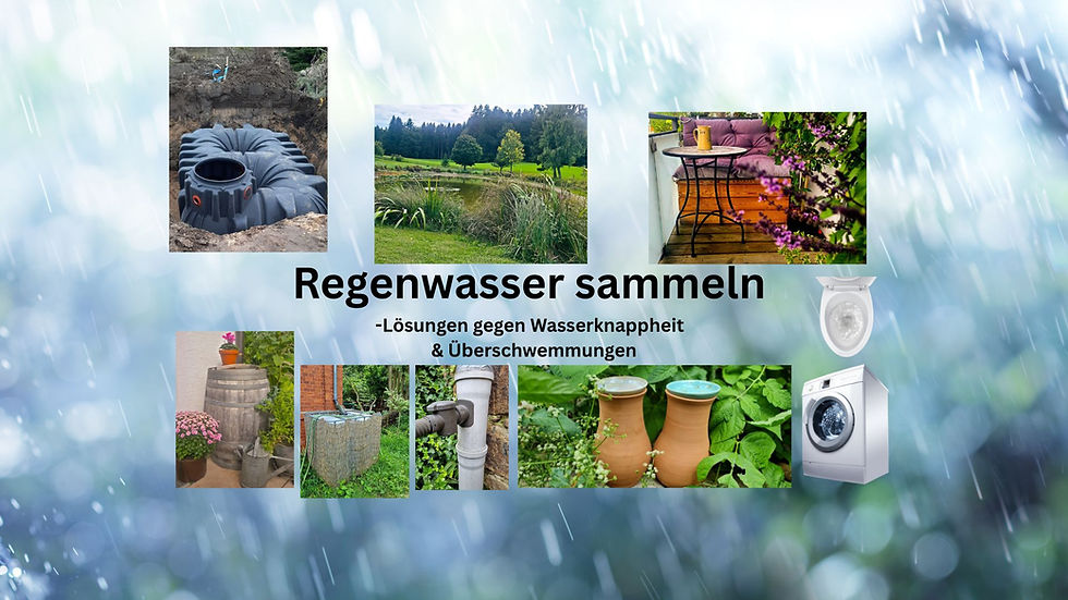 Regenwasser sammeln - nachhaltige Ideen für Garten und Zuhause