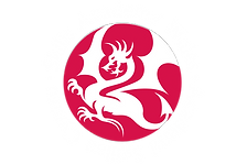 SAW Logo - White Text.png