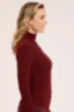 Thumbnail: Wearables Lilis Turtleneck in Port