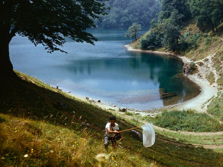 A daughter's epic quest to find one of the rarest butterflies - named after her father