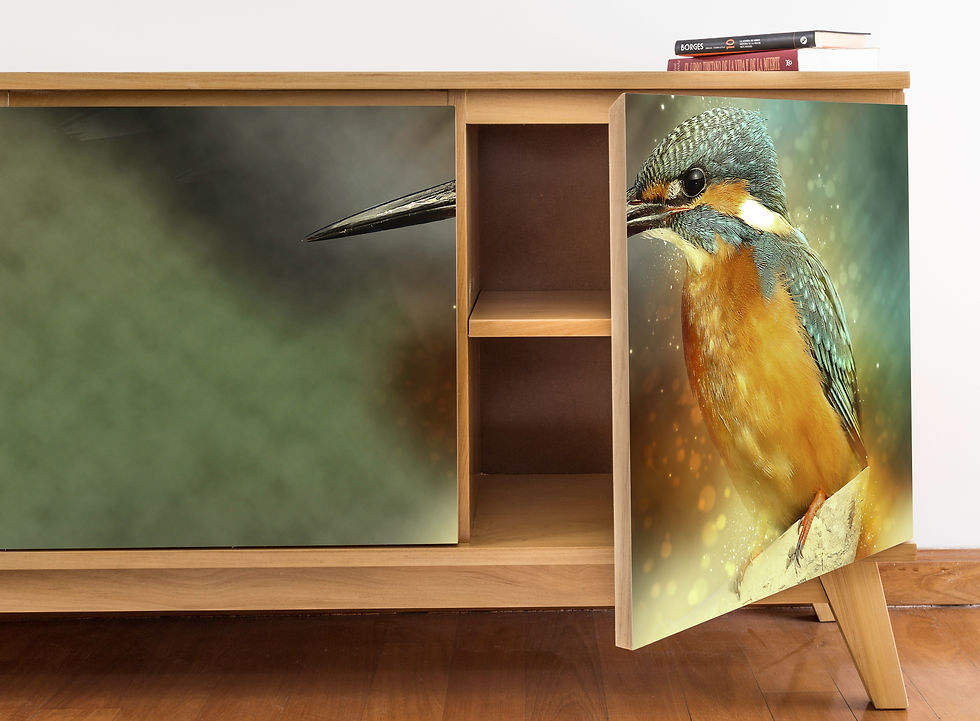 Miniatura: Cómoda XL Colibrí