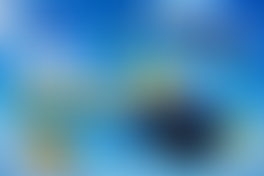 Free Cryptocurrency Airdrop Tips: Accessing Free Crypto Airdrops Easily