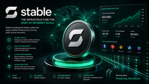 Stable (STABLE), Fundamental Analysis