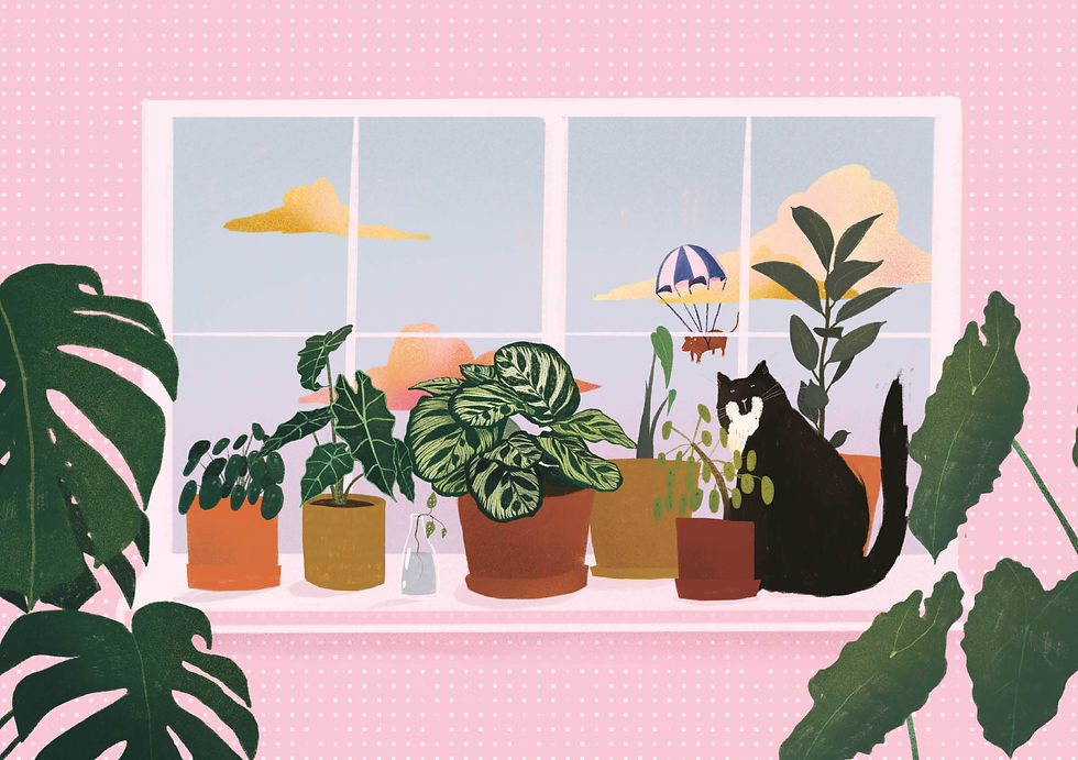Thumbnail: CAT ON THE WINDOW SILL
