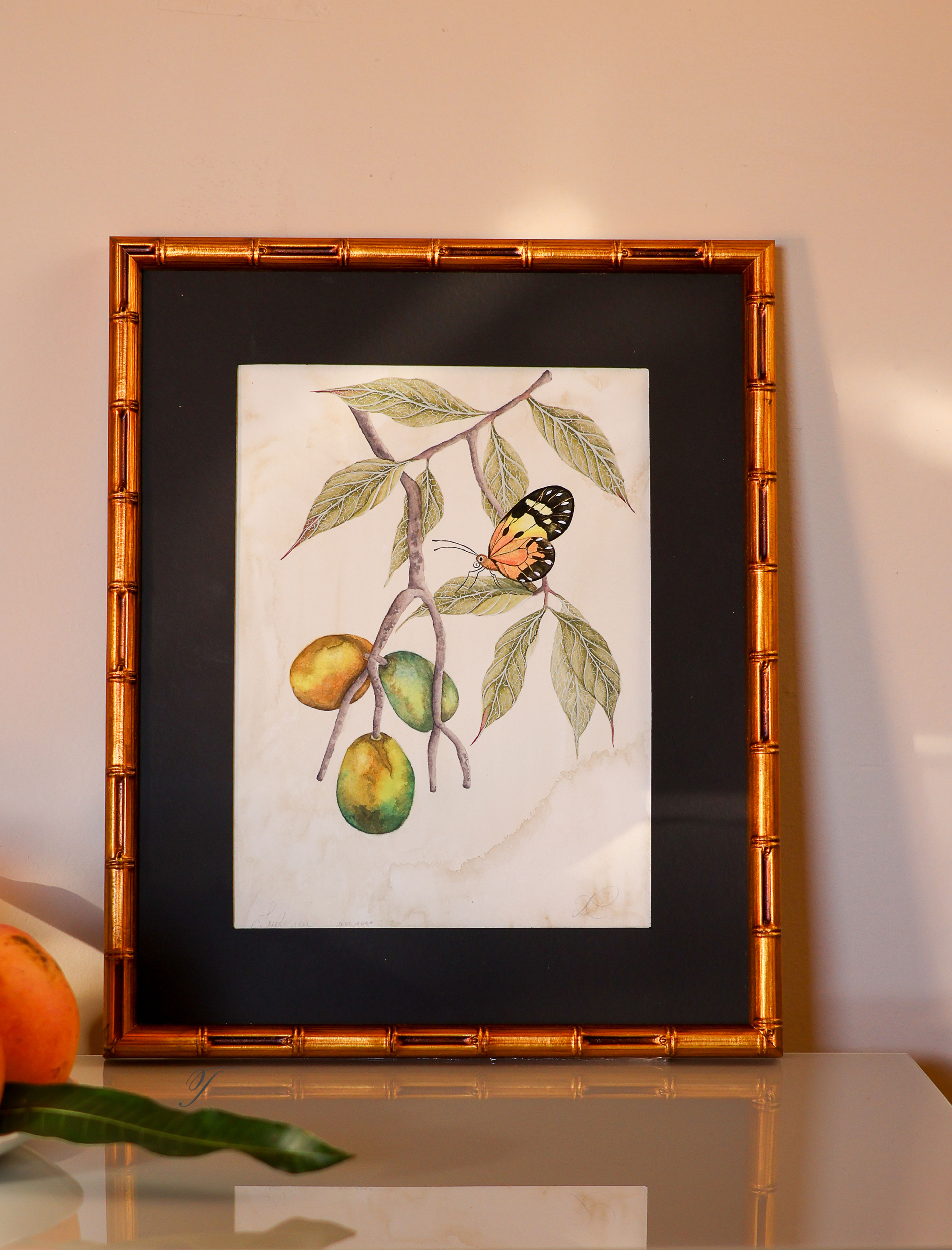 Original Fine Art Botanical Painting of a Ludovica Butterfly and a Cajá Manga Branch framed with black passepartout