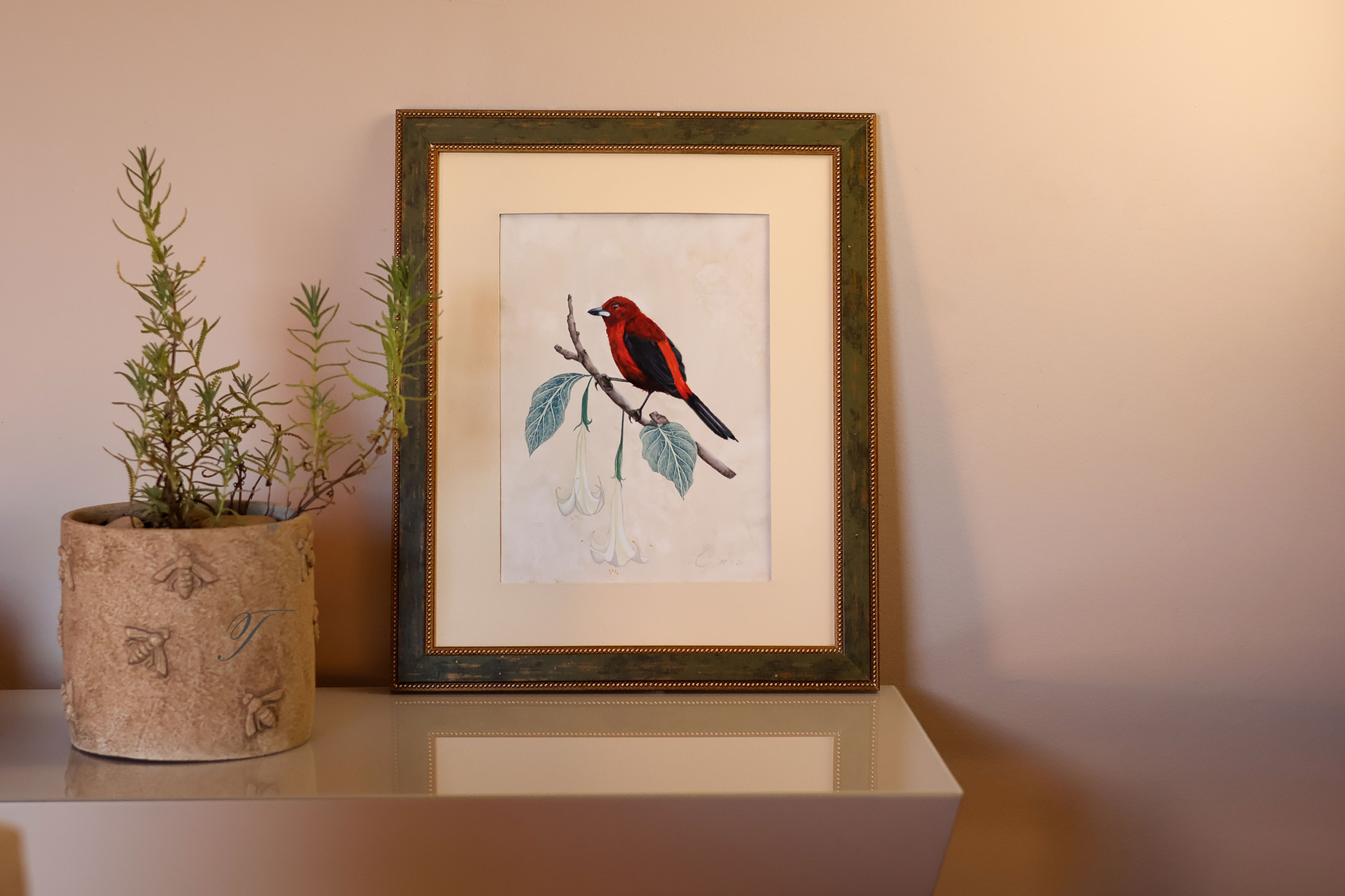 Framed botanical illustration of a red bird perched on a branch, displayed on a beige wall above a small potted plant.