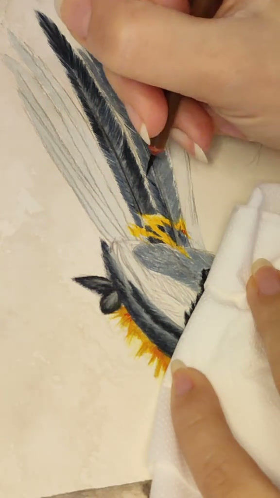 Thumbnail: Video showing the artist painting a black and orange bird in gouache using traditional Chinese brushes on paper.