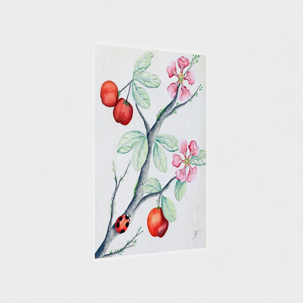 Thumbnail: Angled view of a botanical illustration of a Suriname Cherry with green leaves and pink flower