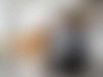 premium pet food tips