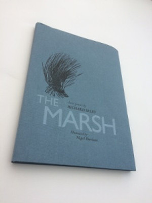 marsh-1