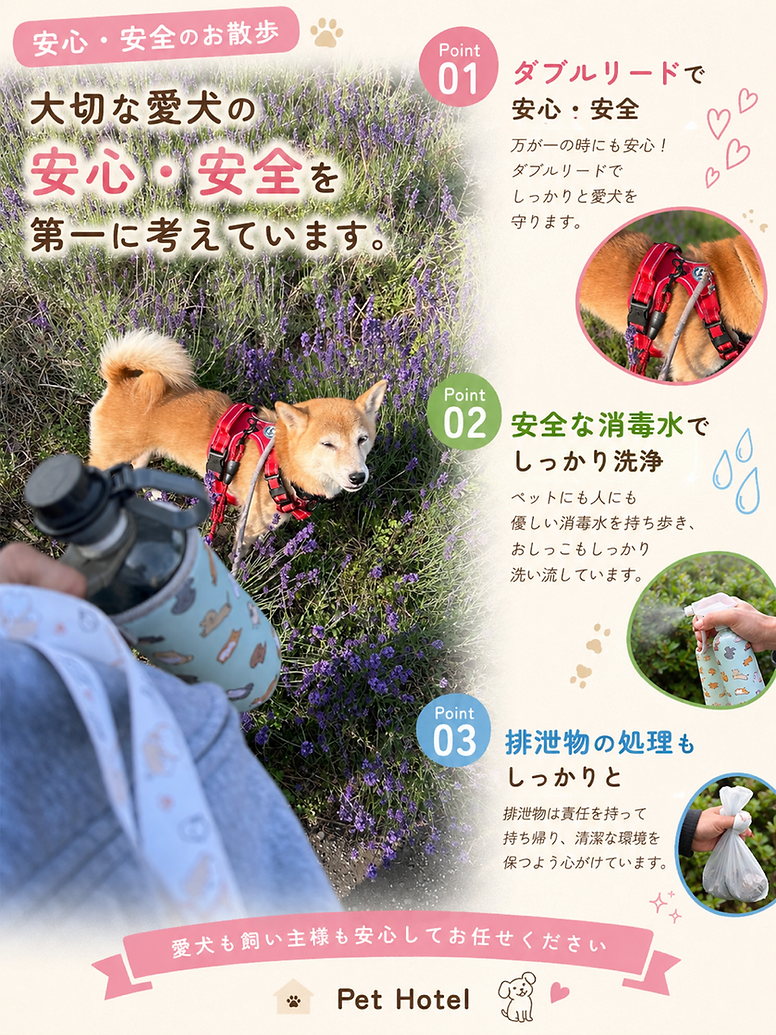 91BC826A-D2F1-479B-A201-1CF7E86D0DB6.png