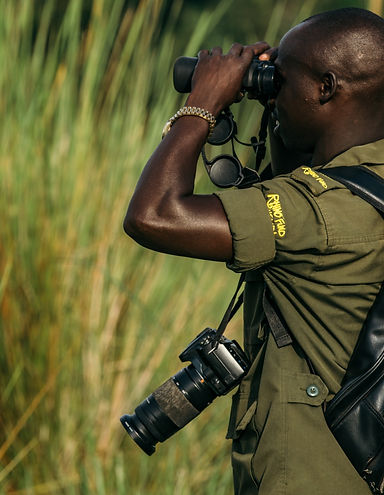 Ein Tour Guide während einer geführten Rundreise Uganda steht im Nationalpark und schaut durch ein Fernglas.