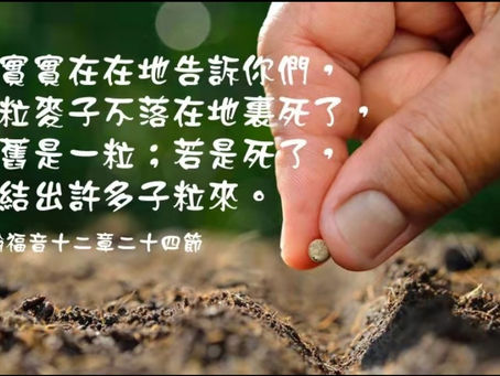 信心的盼望