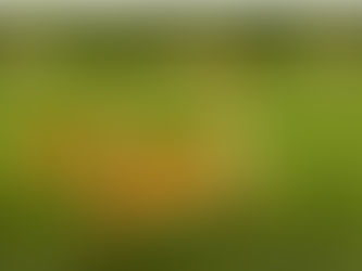 今天救恩到了這家