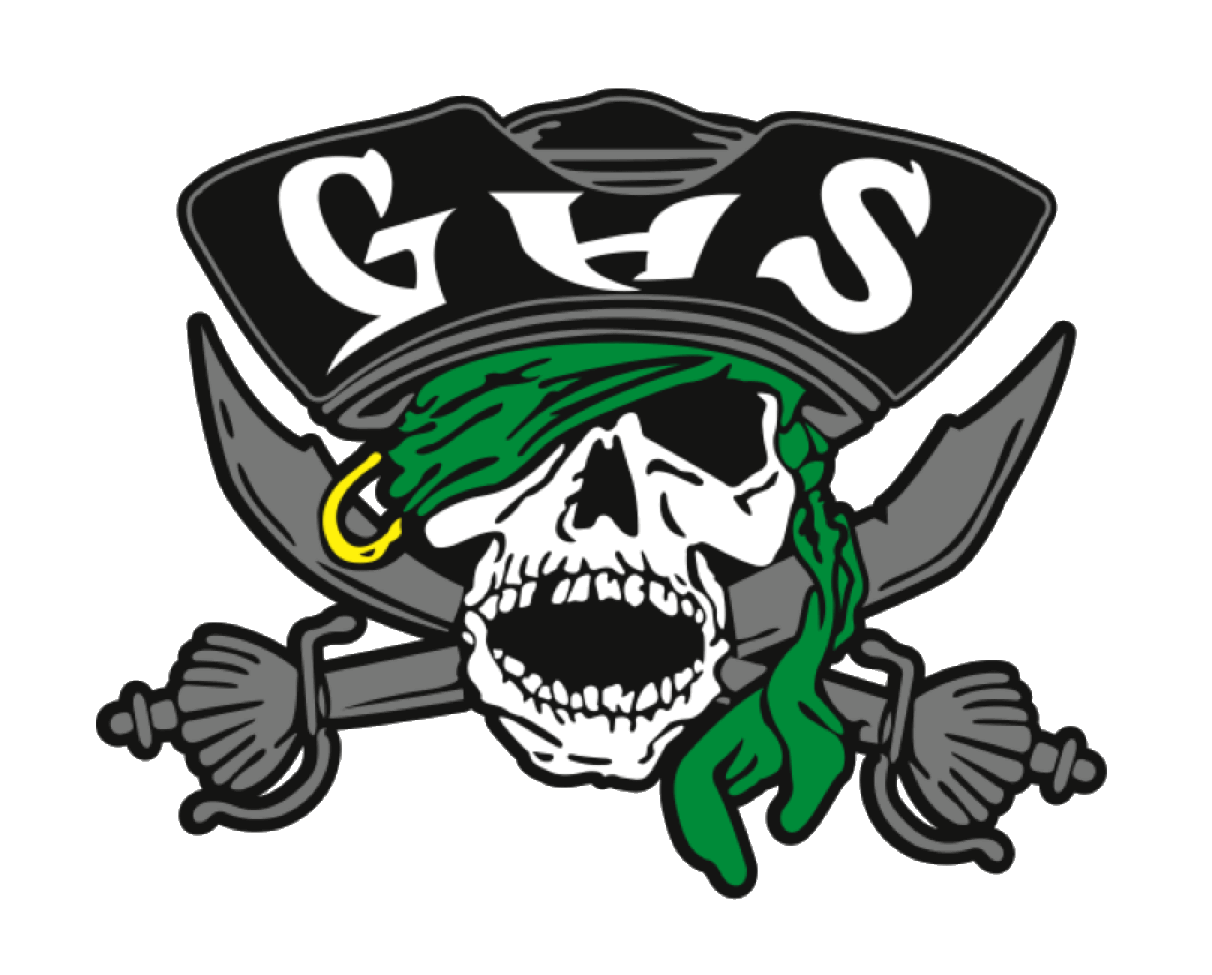 Vectoried-Bucs2.gif