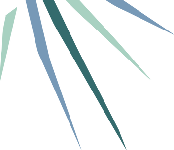 b5570ad43fd81d0f6800d9239936d9de.png