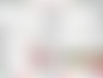 Vilonia Senior Center Menu, December 2020