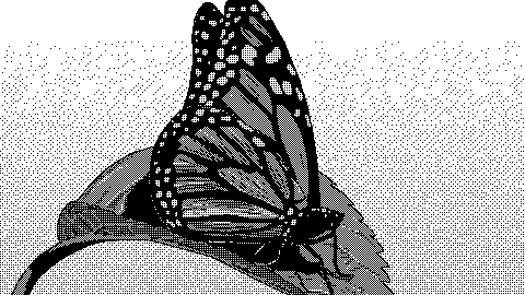 it's nice that black and white GIF by mattisdovier.gif