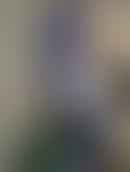 Viajes Inolvidables by FraVEO participó en una comida-capacitación con Lomas Hospitality