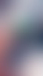 Presentación destino Chicago